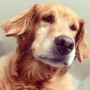 Profile photo of Joy Archie