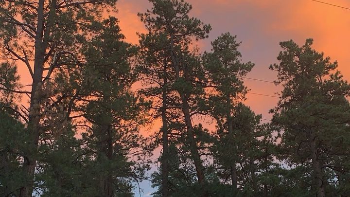 Help Layla Rebuild After Aspen Wildfire campaign photo, 1 of 8