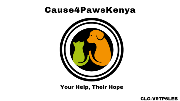 Trap-Neuter-Vaccinate-Release plus Rehome Campaigns campaign photo, 1 of 8