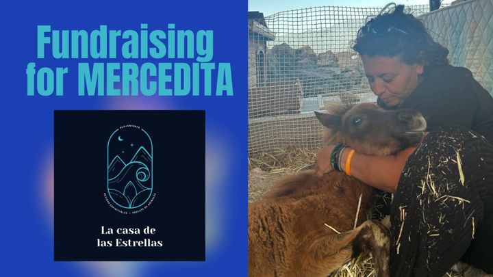 MERCEDITA nos necesita - MERCEDITA needs us campaign photo, 1 of 3