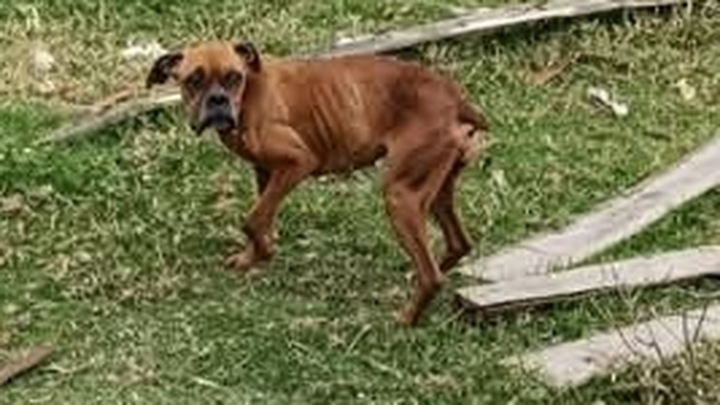 This sweet starving baby. PLEASE HELP US HELP HER campaign photo, 1 of 8