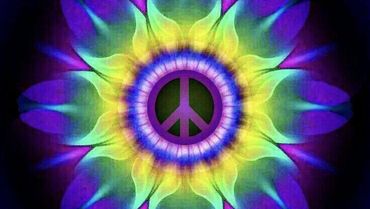 Lavender Love