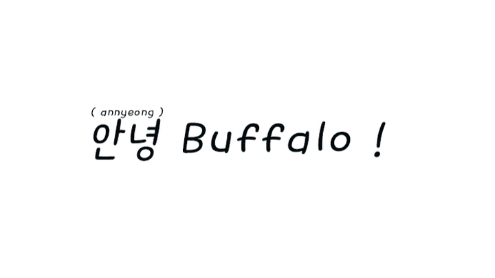 Support Buffalo’s First KPop Shop! campaign photo, 1 of 3