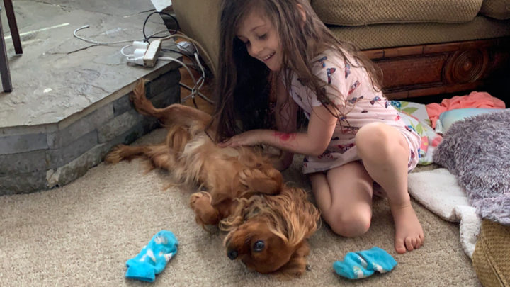 Help Apple Get Lifesaving Surgery campaign photo, 1 of 8