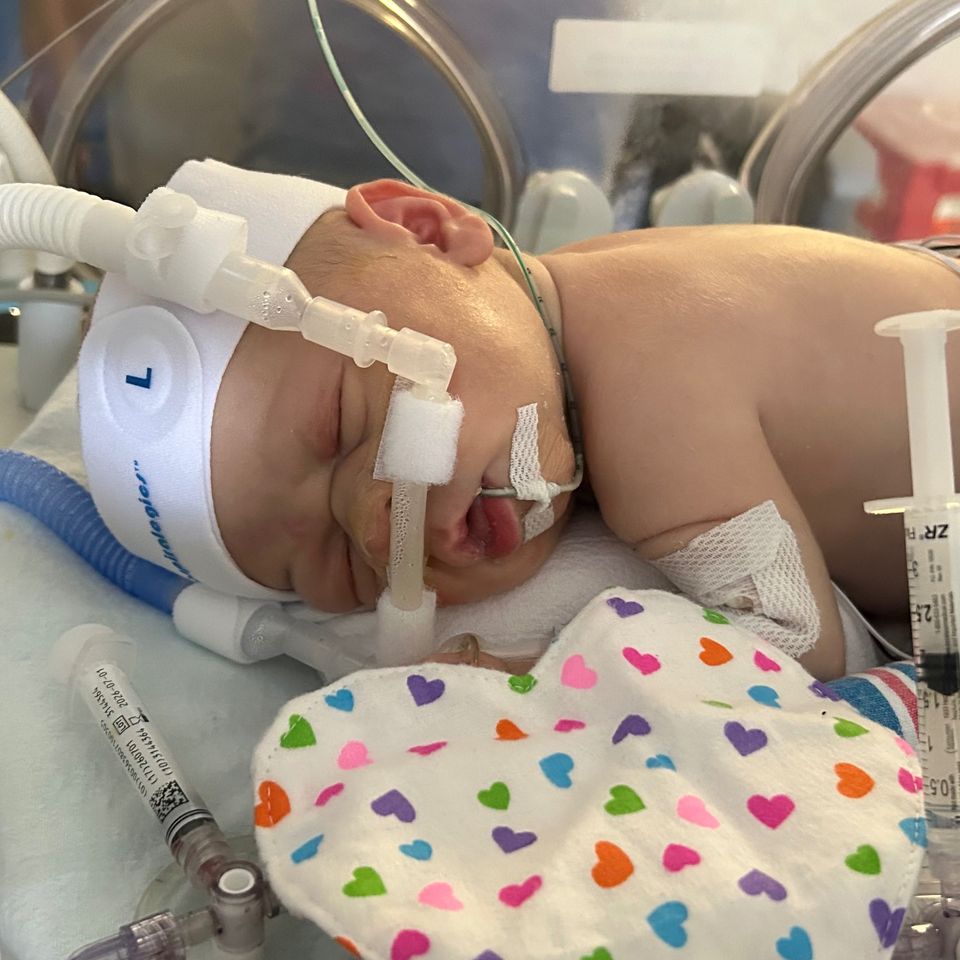 Fundraiser for Joseph Velez by Michelle Kiernan : Support Nico Velez's Heart Transplant Journey