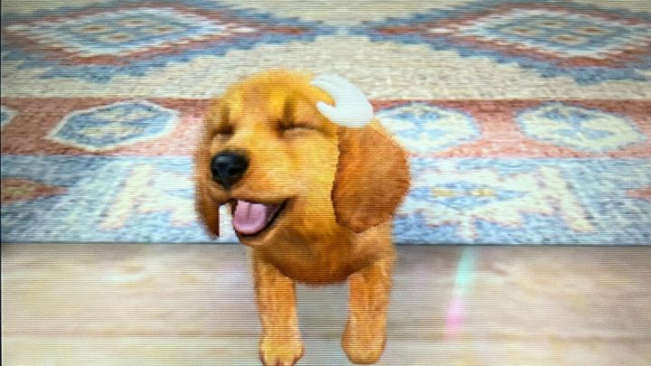 Nintendogs digital shelter campaign photo, 1 of 4