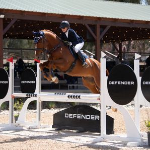 Jessica Higgins Besseling