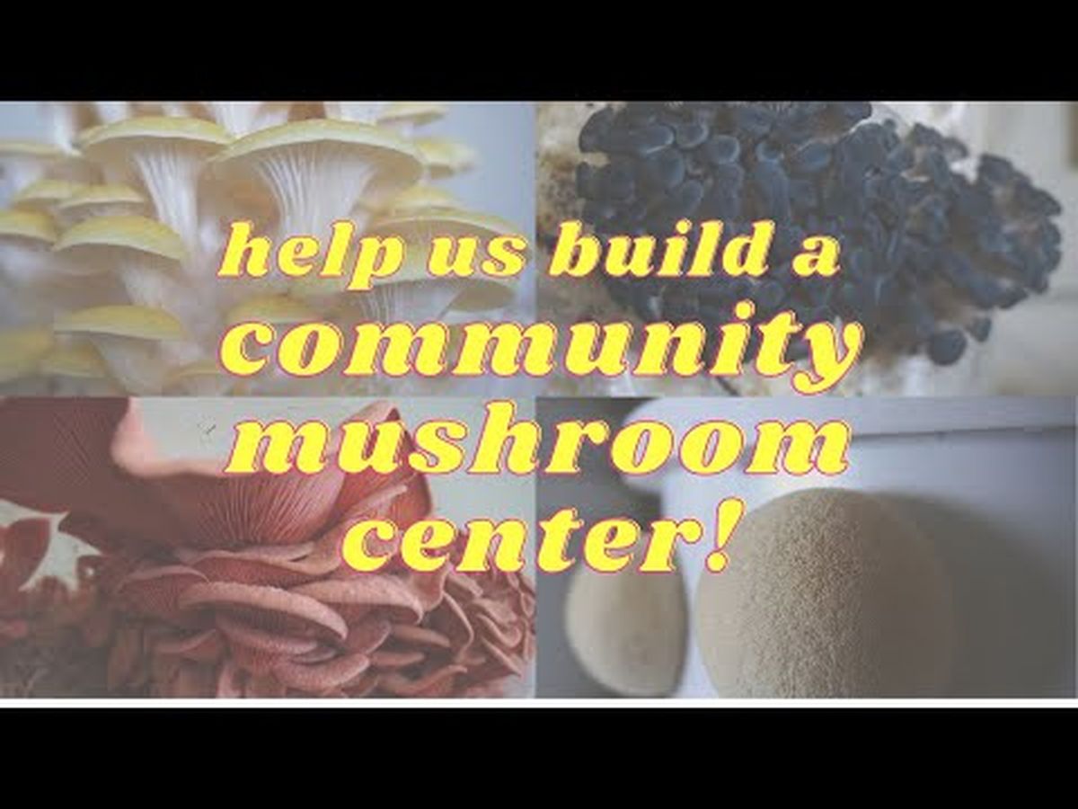 Fundraiser’s main image
