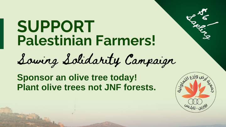 Foto de la campaña Sowing Solidarity: Support Palestinian Olive Farmers!, 1 de 2