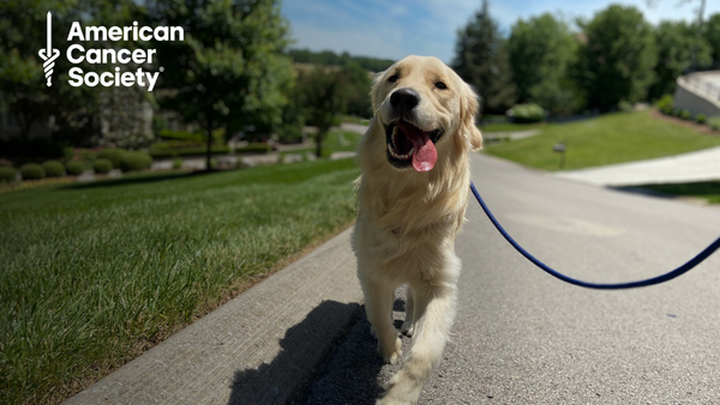 30 Mile Dog Walk for American Cancer Society campaign photo, 1 of 3
