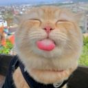 Profile photo of pes _