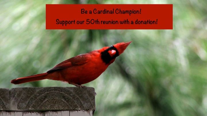 Main fundraiser photo