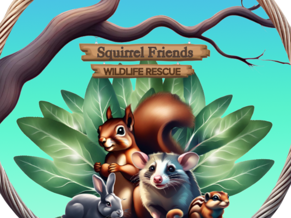 Fundraiser’s main image