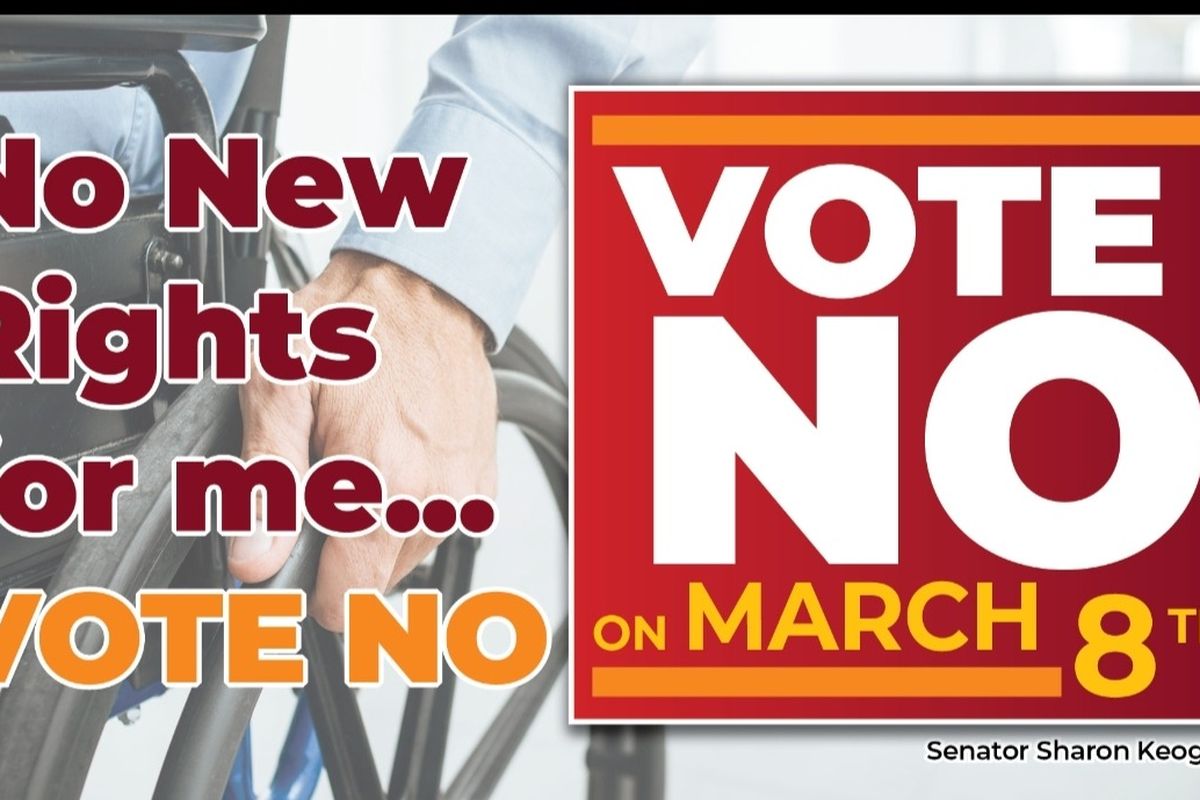 Fundraiser by Sharon Keogan : Support the Referendum #NoCampaign on March  8th, image size:1200x800