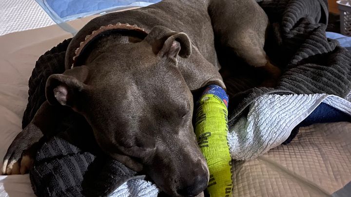 Main fundraiser photo