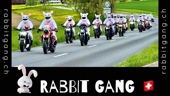Gank Rabbit Fundraiser by Marc Ritter : Rabbit Gang Schweiz - Put a Smile on Your Face!