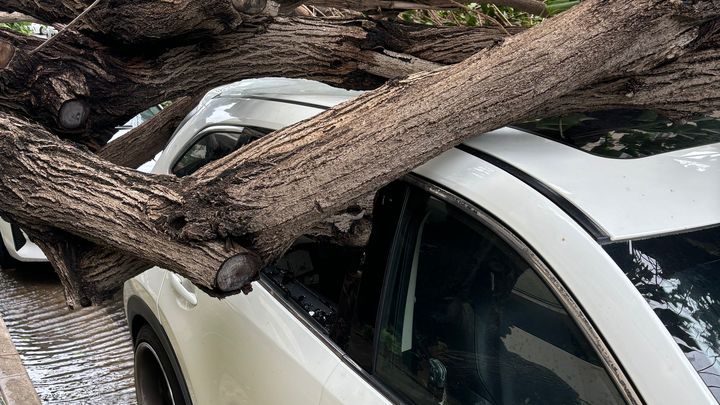 Help Sabrina Replace Storm-Damaged Car campaign photo, 1 of 3