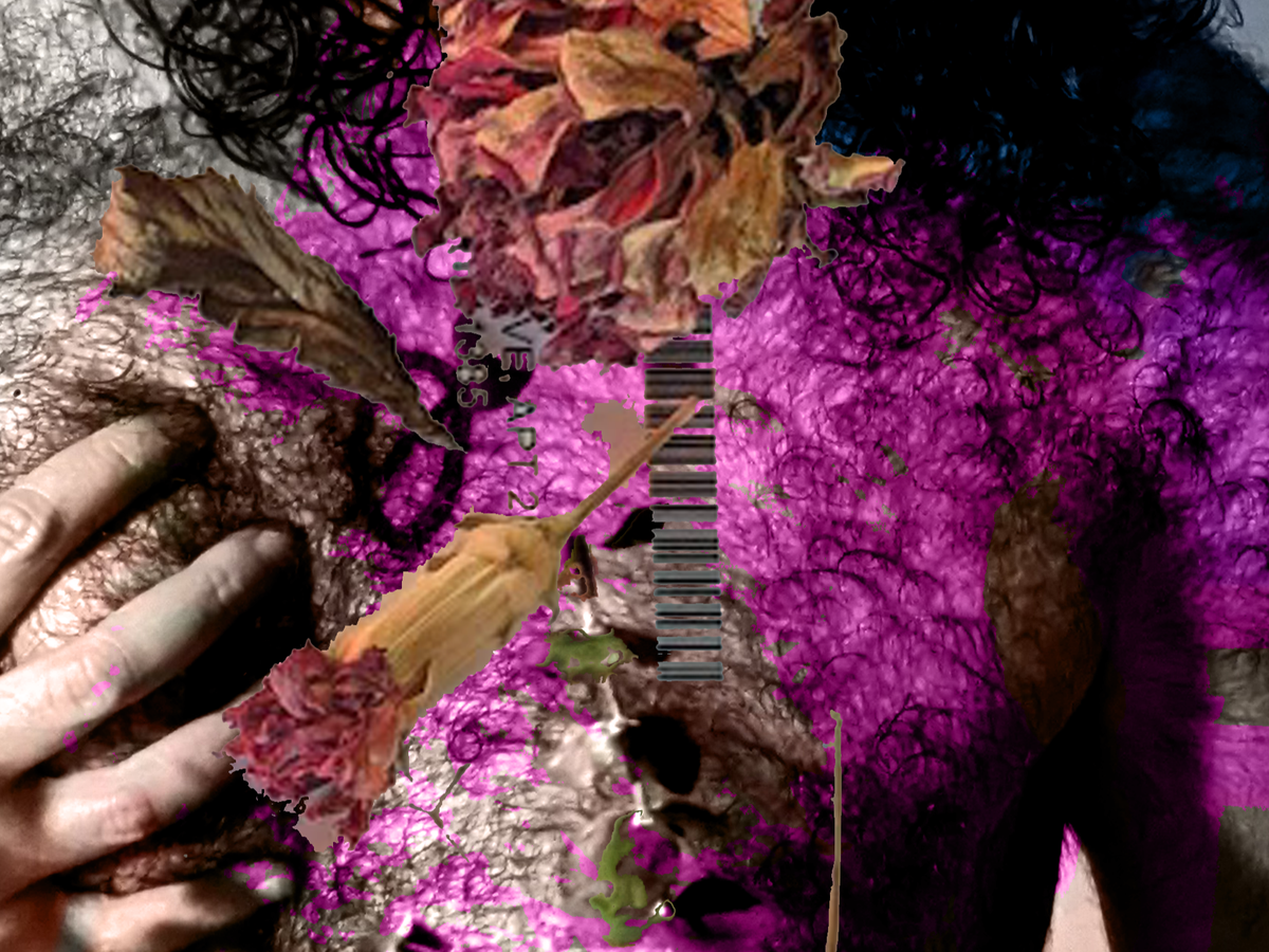 Fundraiser’s main image