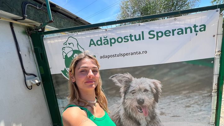 Raccolta fondi Romania per Speranta shelter campaign photo, 1 of 7