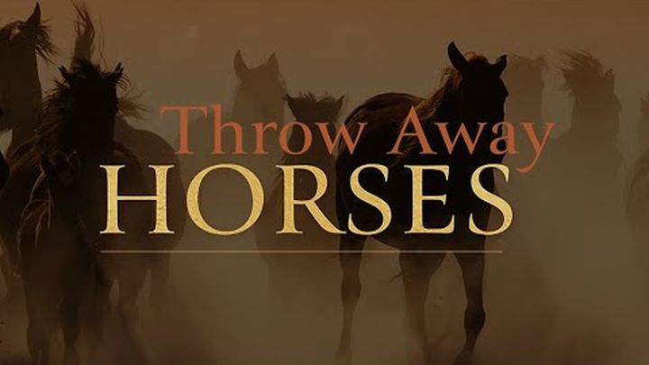 Help Save Neglected Horses with Our Film video thumbnail, 1 of 8