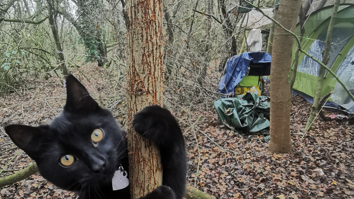 Static Home, a better life for me and my companions. campaign photo, 1 of 8
