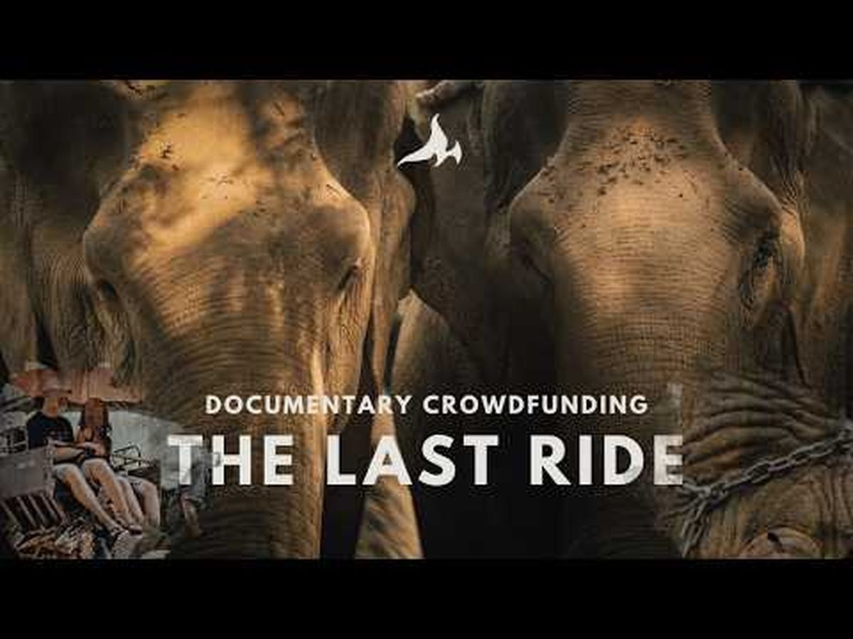 Fundraiser’s main image