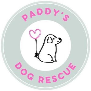 Paddy's Dog Rescue