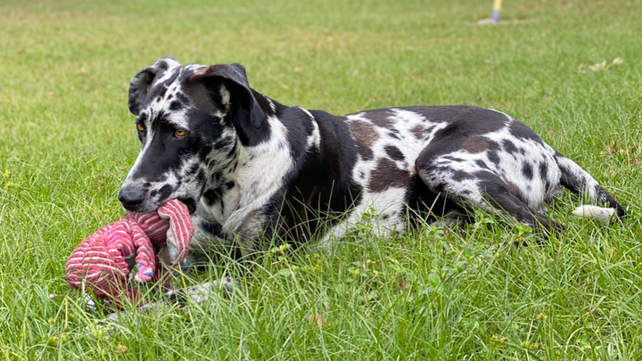 Main fundraiser photo