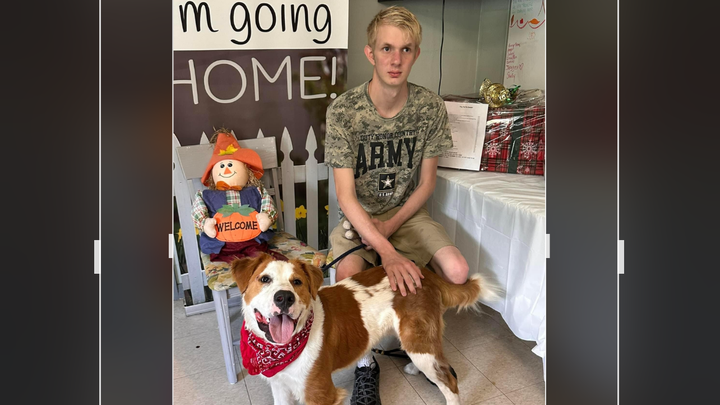 Help Brandon and Sarge Reunite! campaign photo, 1 of 2