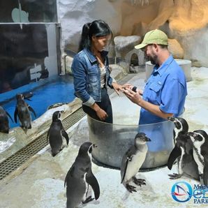 Christopher  Futrell