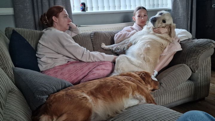Please Help Us Save Our Beloved Golden Retriever, Barney ❤️ campaign photo, 1 of 3