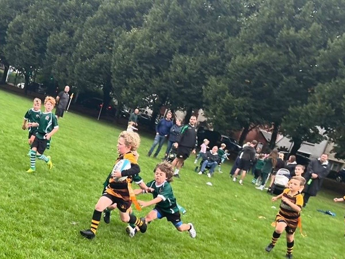 Fundraiser’s main image