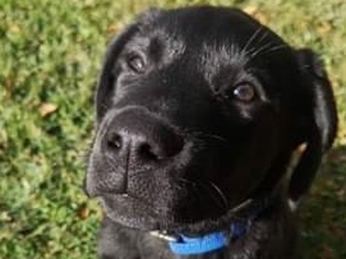 Fundraiser For Maud Cloutier By Melanie Beauvais Aidons Bo A Se Retablir