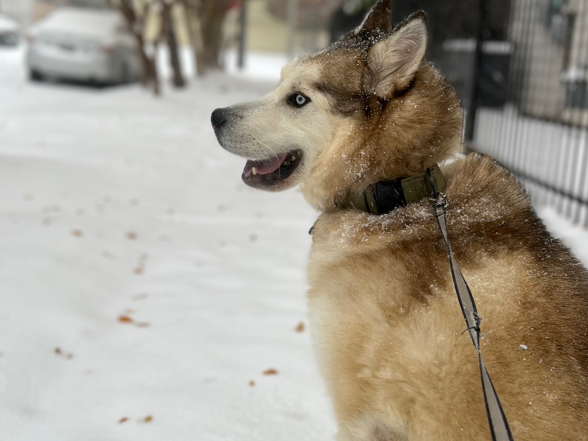 Winter’s journey to healing. campaign photo, 1 of 8