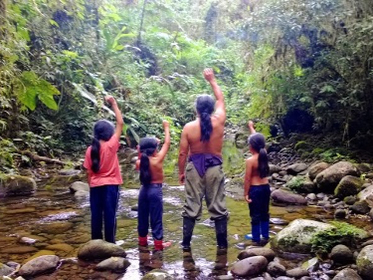 Clean Lands and Waters in the Amazon for a Free Future. campaign photo, 1 of 5