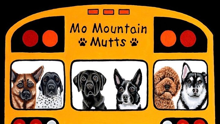 Half for the Bus, Half for the Paws campaign photo, 1 of 5