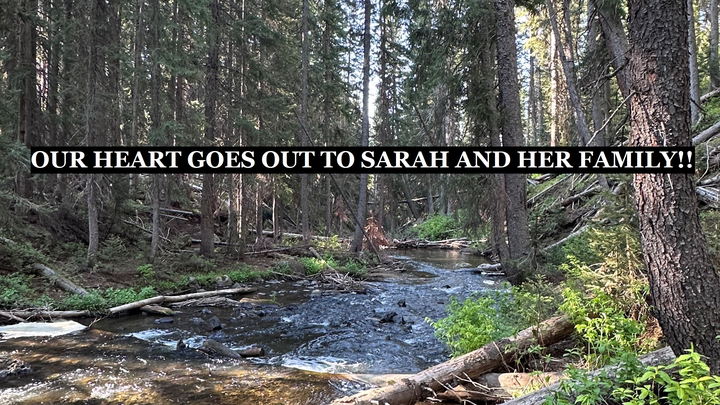 Support Sarah Walton After Tragic Loss campaign photo, 1 of 4