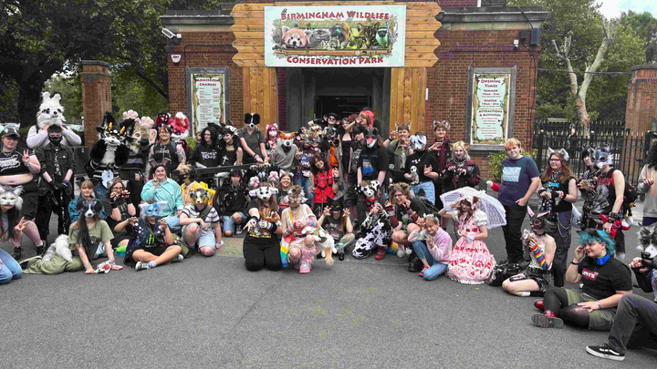 Main fundraiser photo