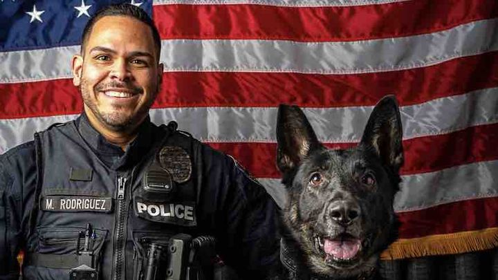 Help for Harley - Our Recently Retired K9 Hero campaign photo, 1 of 5