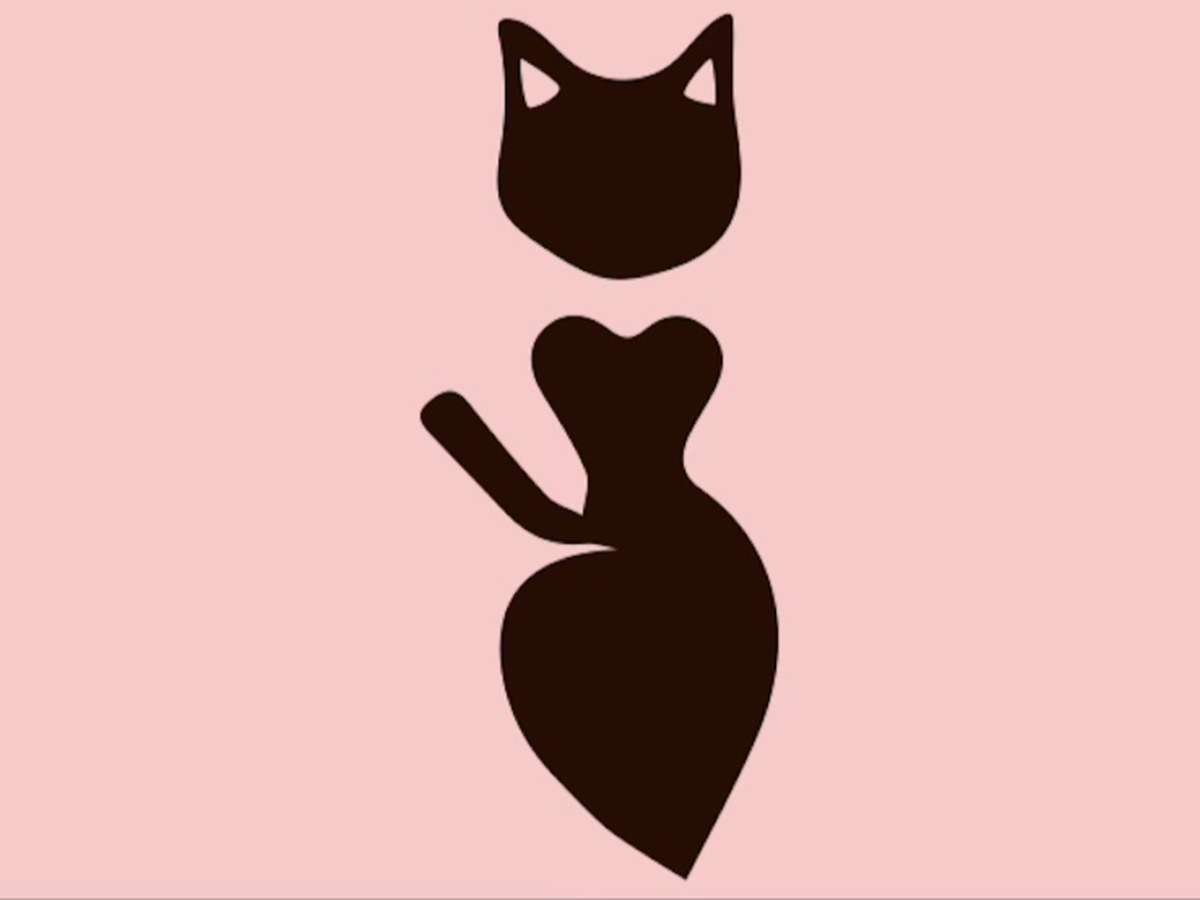 Fundraiser’s main image