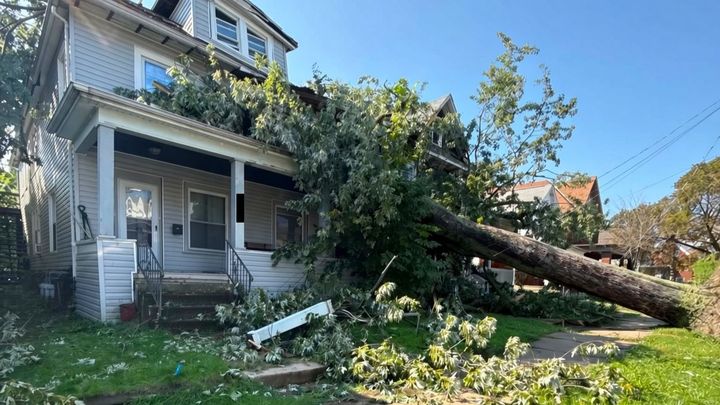 Support My Mother After Tree Damage campaign photo, 1 of 8