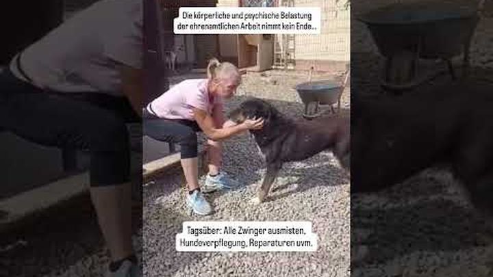 Videovorschaubild für Spenden für die Fellnasen des Afumati Tierheims, 1 von 7