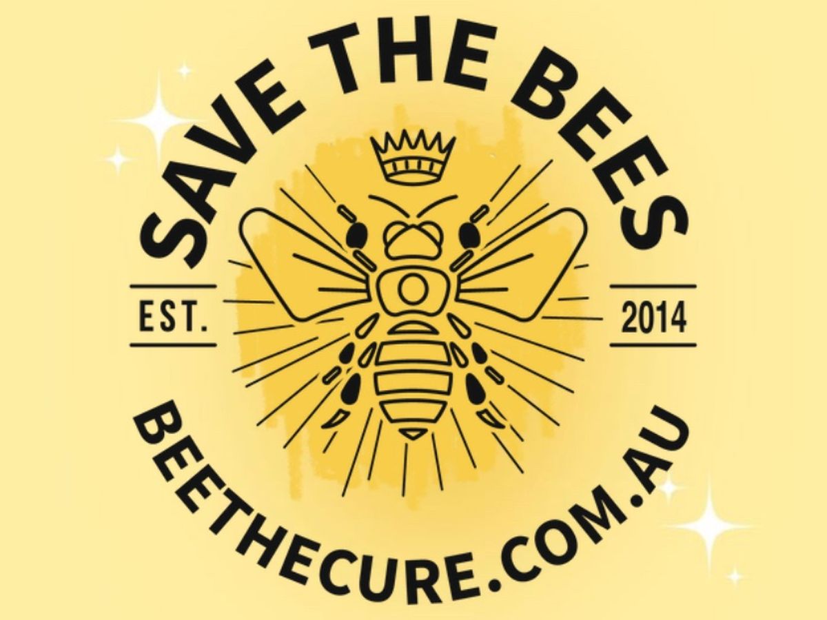 Fundraiser’s main image