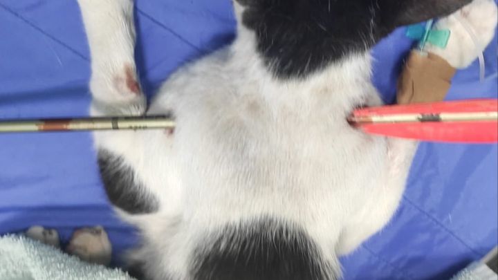 Hoofdafbeelding inzamelingsactie
