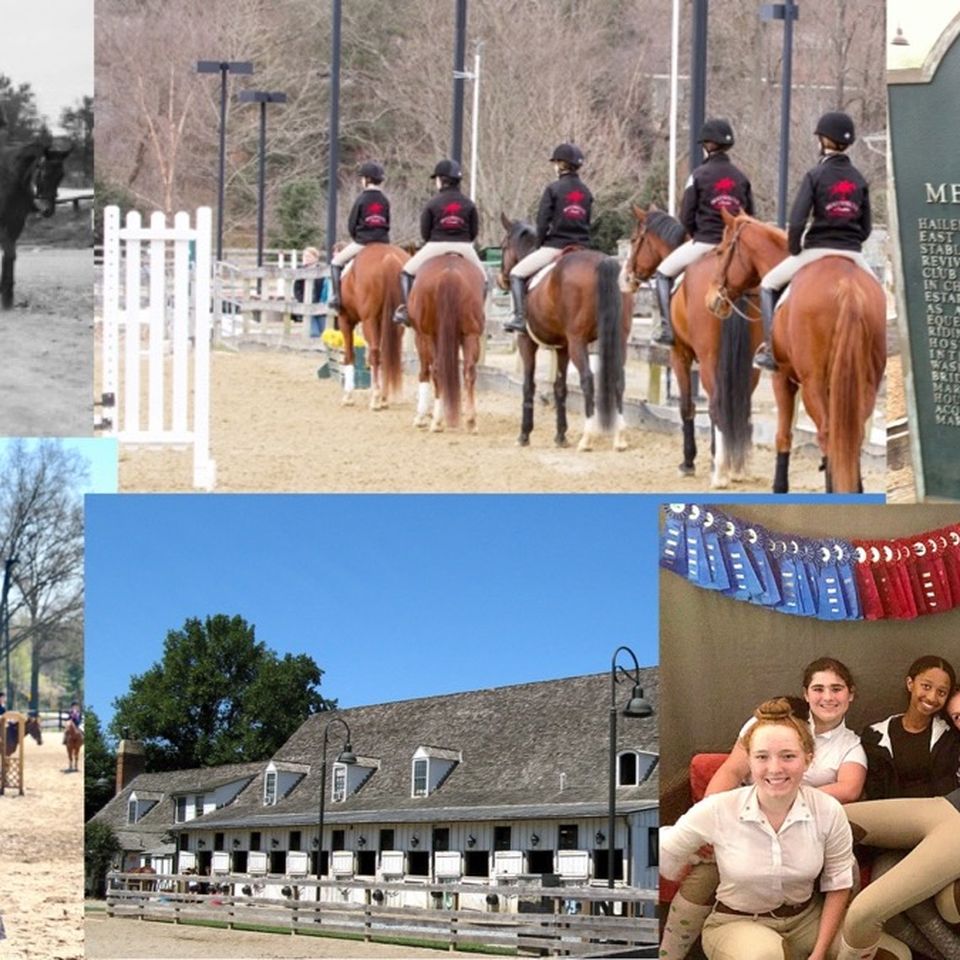 Fundraiser By Stefanie Stark Meadowbrook Stables Campaign For Covered Arena