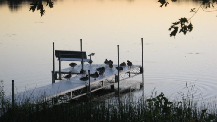 Main fundraiser photo