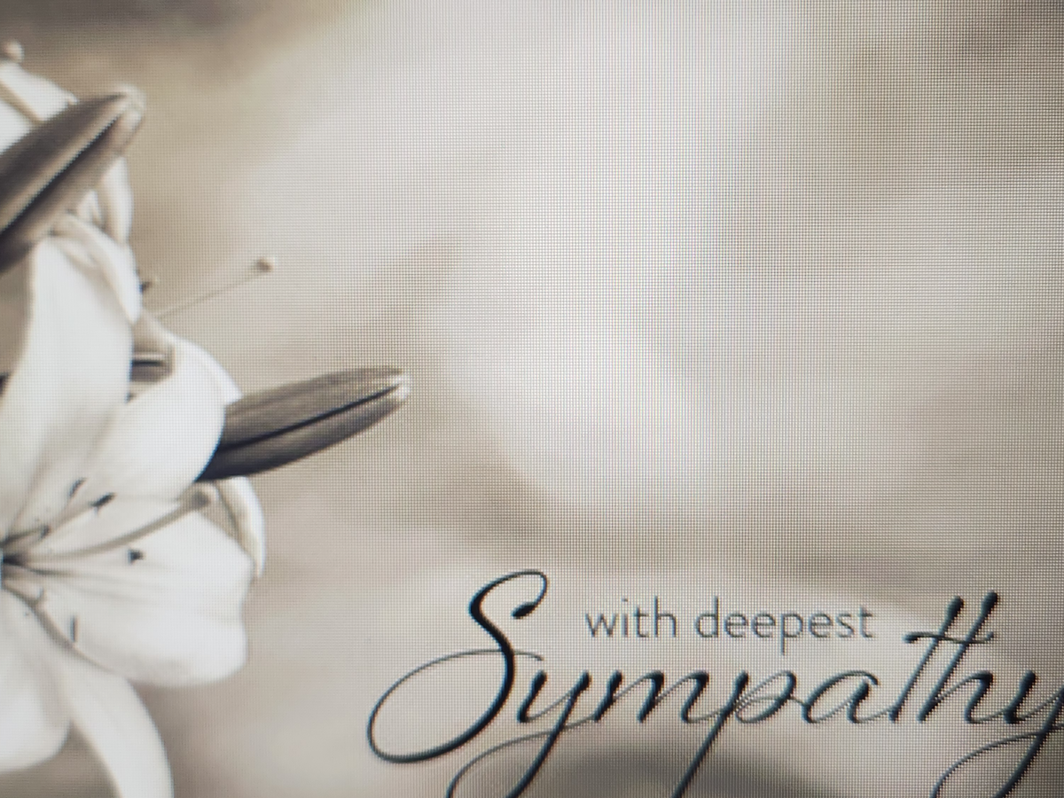 Fundraiser’s main image