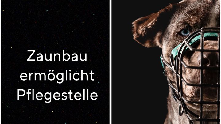 Kampagnen-Foto für Mit deiner Spende ermöglichst du eine Pflegestelle, 1 von 2