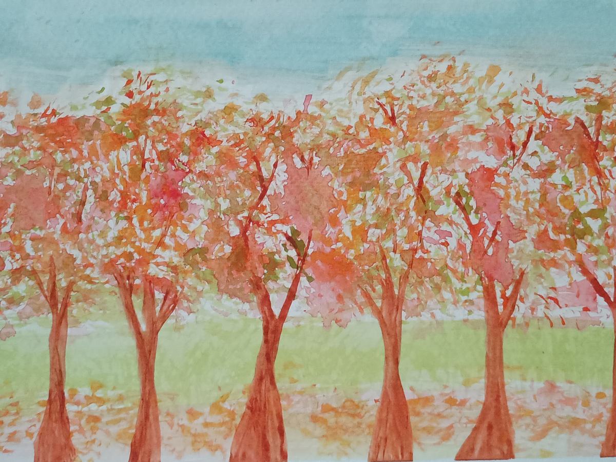 Fundraiser’s main image
