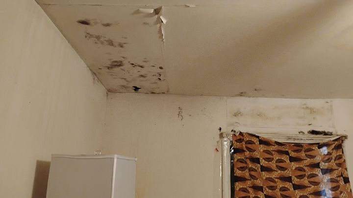 Help Us Move to a Safe, Mold-Free Home campaign photo, 1 of 3
